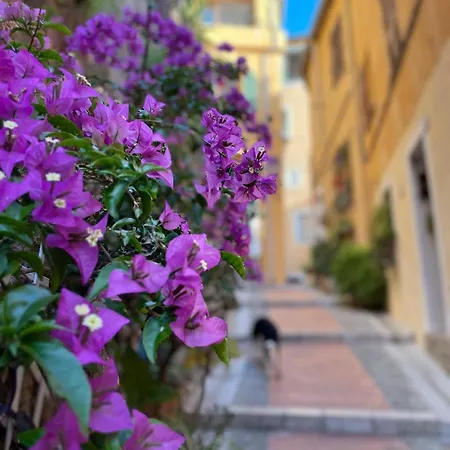 Vue Vieille Appartement