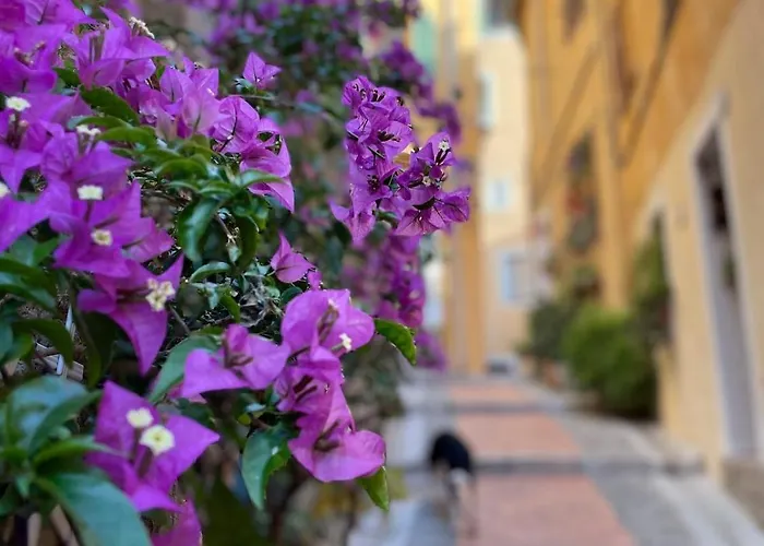 Vue Vieille Apartment